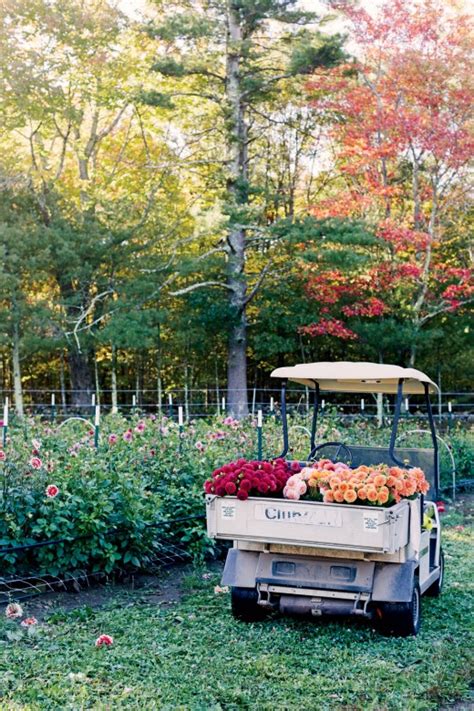 family farms upton ma|fivefork farms upton ma.